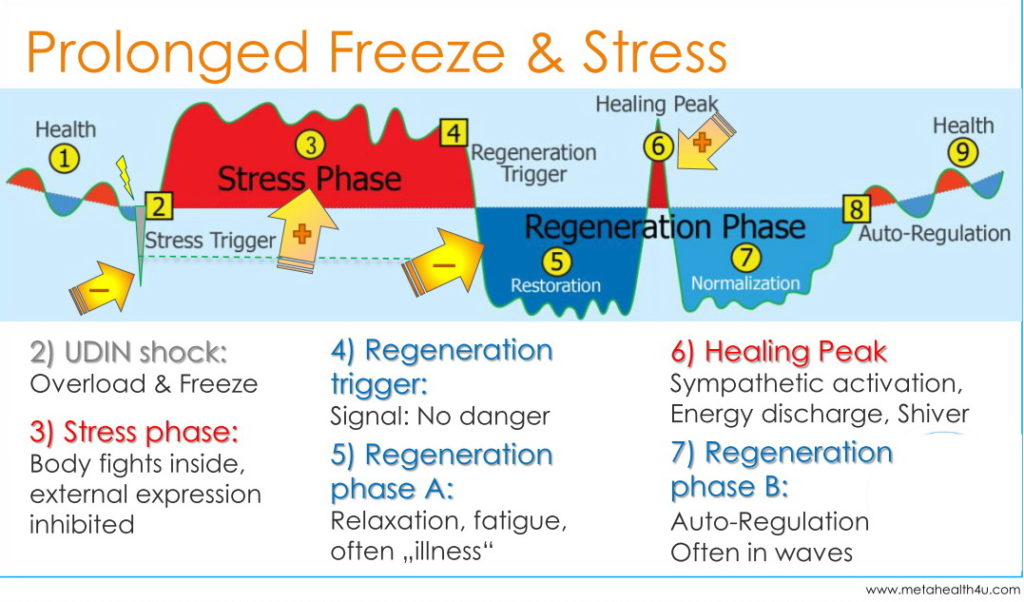 2 phases - prolonged freeze