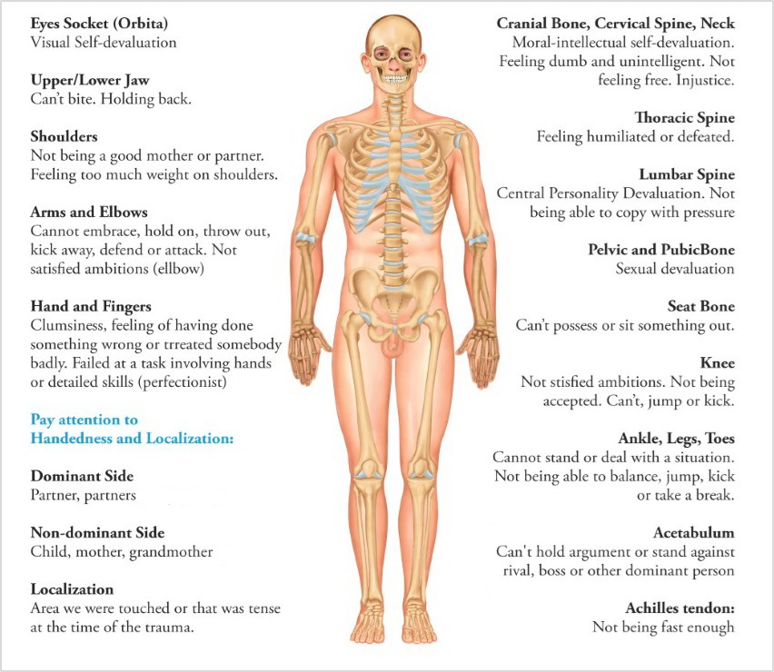 skeletal associations