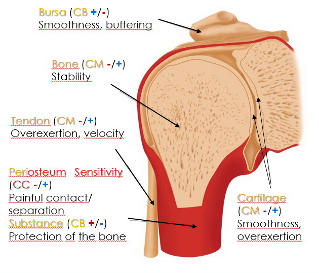 joint parts