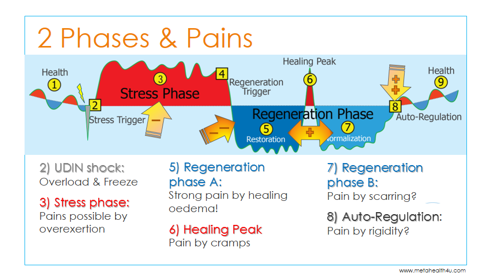 phases & pains